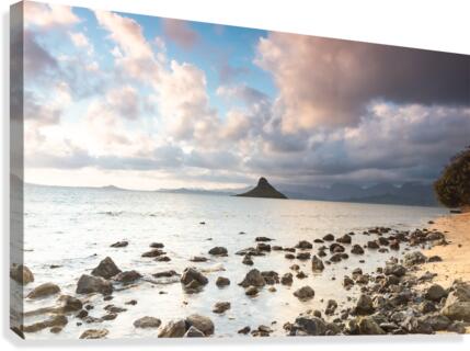 Glow white - 2021 Canvas Print