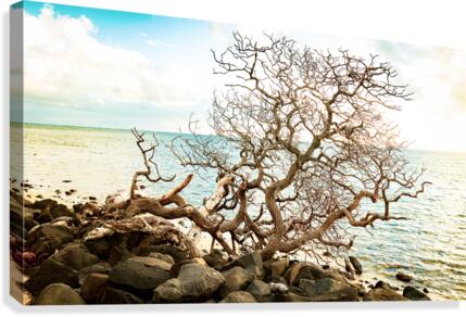 Sculpted - 2021 Canvas Print