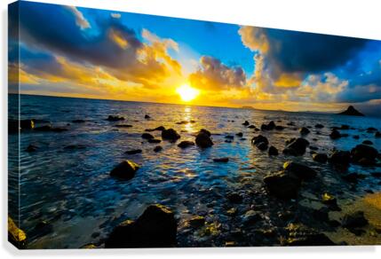 Deep Blue - 2021 Canvas Print