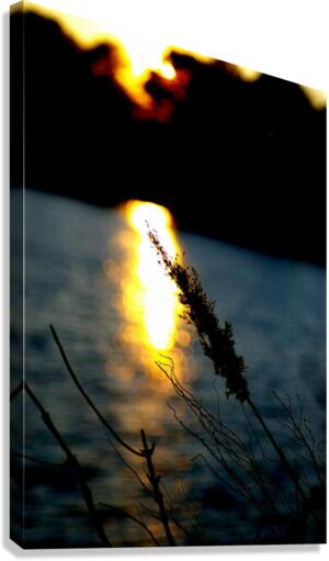 Sunlight Canvas Print