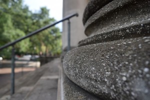 Savannah Up close