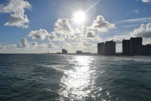 Sight Seeing in Florida