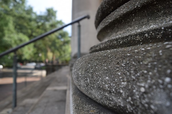 Savannah Up close Print