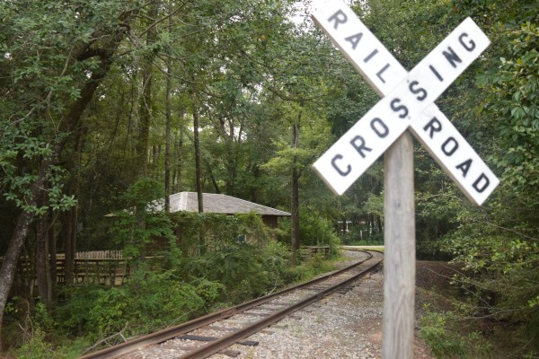 Georgia Crossing - Color by Emily Johnson