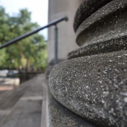 Savannah Up close
