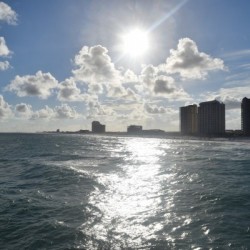 Sight Seeing in Florida