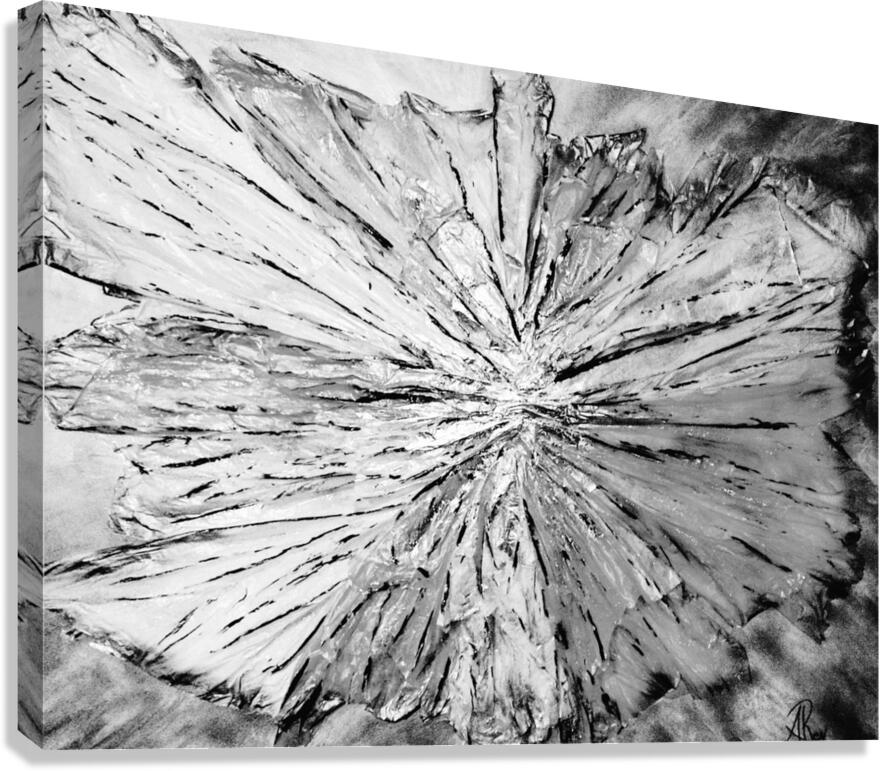 6 Canvas Print