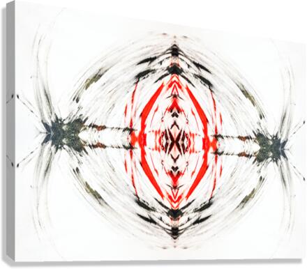 Contact 3 Canvas Print