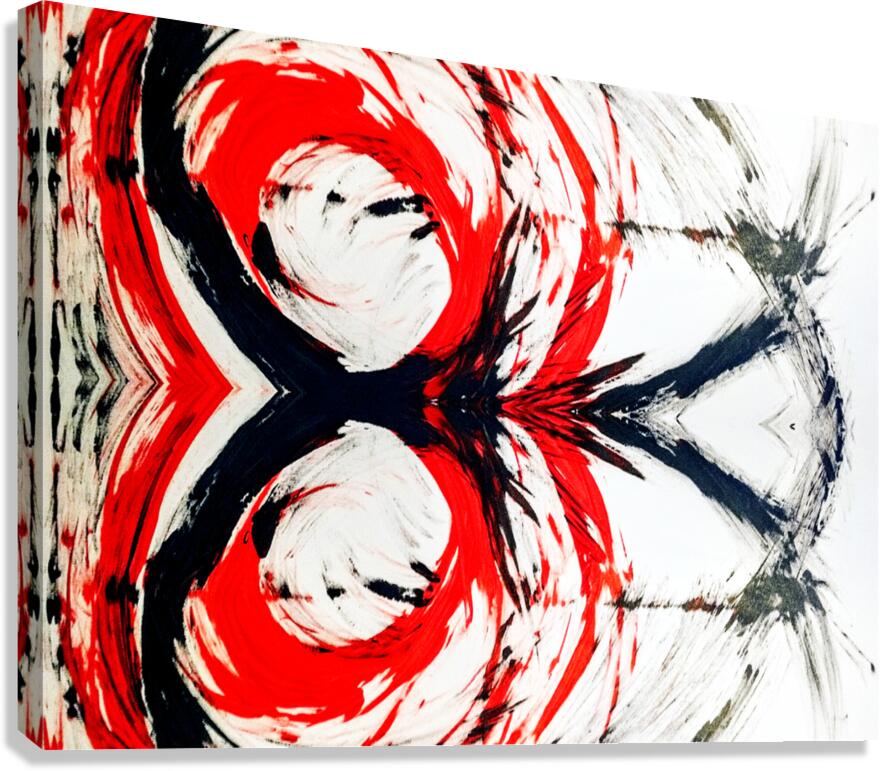 Contact 2 Canvas Print