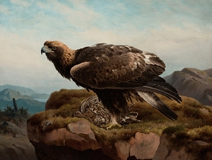 Golden Eagle At A Cliff’s Edge [1880] by Ferdinand von Wright [1822–1906]