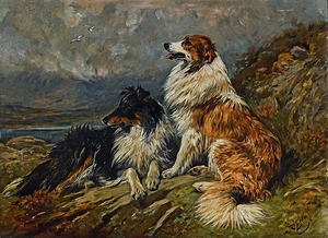 COLLIES ON THE MOOR by John Emms [1843–1912]