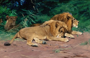 Ruhende Löwen [Lions at Rest] by Wilhelm Kuhnert [1865–1926]