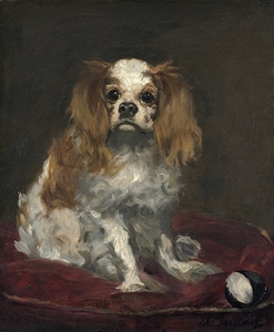 A King Charles Spaniel [c. 1866] by Édouard Manet [1832–1883]