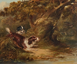 Spaniels putting up duck by George Armfield [1808–1893]