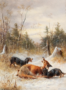Fuchs mit Hunden [1888] by Moritz Müller II [19th century]