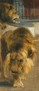 Lions by Wilhelm Kuhnert [1865–1926]