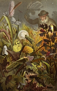 Die Insekten. Tausendfüssler und Spinnen Pl 18 [1877] by Alfred Edmund Brehm [1829–1884]