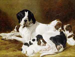 The New Litter by Richard Ansdell [1815–1885]