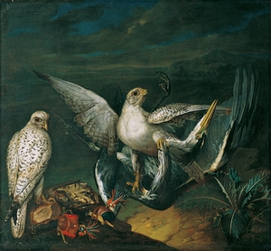 Weiße Jagdfalken Mit Einem Fischreiher [1748] by Philipp Ferdinand de Hamilton [ca. 1664–1750]