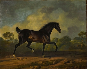 Horse Trotting [1782] by Sawrey Gilpin [1733–1807]