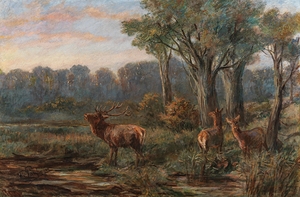 A Red Deer in a Glade by Franz Xaver von Pausinger [1839–1915]