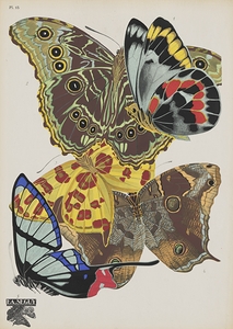 Papillons Pl.15 [1920] by Emile–Allain Séguy [1877–1951]