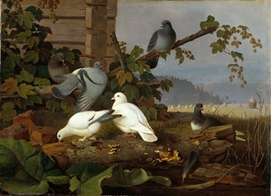 Pigeons by Ferdinand von Wright [1822–1906]