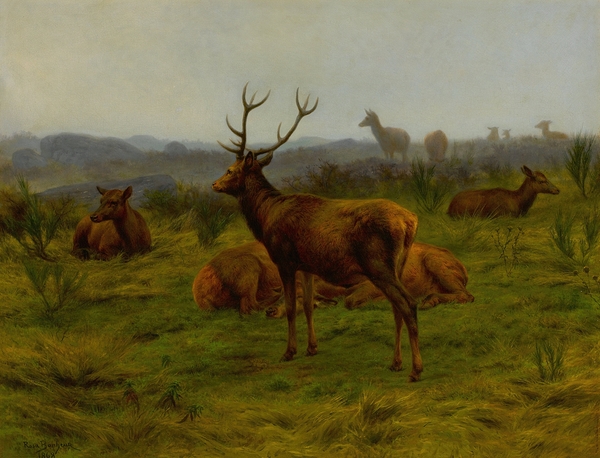 The Monarch of the Herd [1868] by Rosa Bonheur [1822–1899] Print