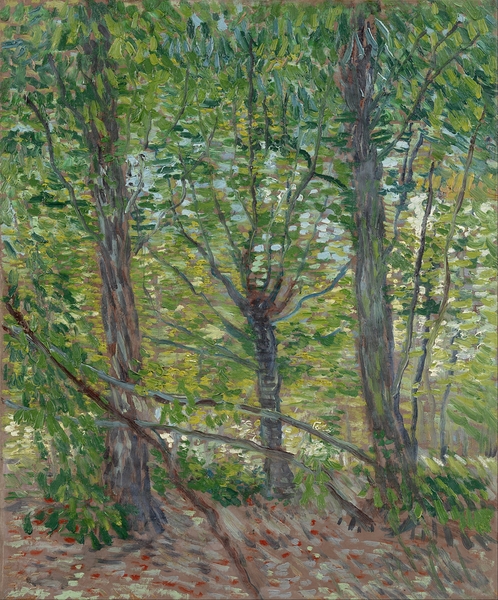 Trees by Vincent van Gogh [1853–1890] Print