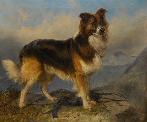 Sammie [1877] by Richard Ansdell [1815–1885] Print