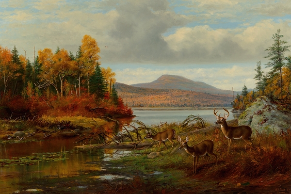 Late Autumn. Long Lake. Hamilton Co.. New York. Adirondacks [1881] by Arthur Fitzwilliam Tait [1819–1905] Print