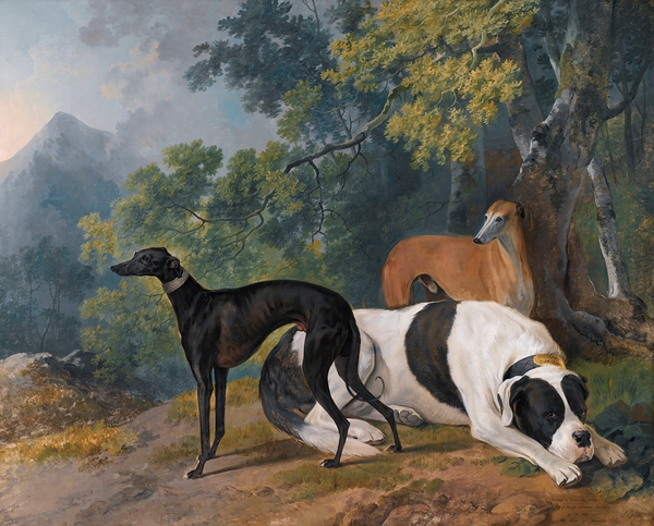 Two Greyhounds And A Mastif Belonging To The Duke Of Hamilton [1780] by Sawrey Gilpin [1733–1807] Print