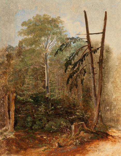 Study of a Woodland Landscape by Carl Spitzweg [1808–1880] Print
