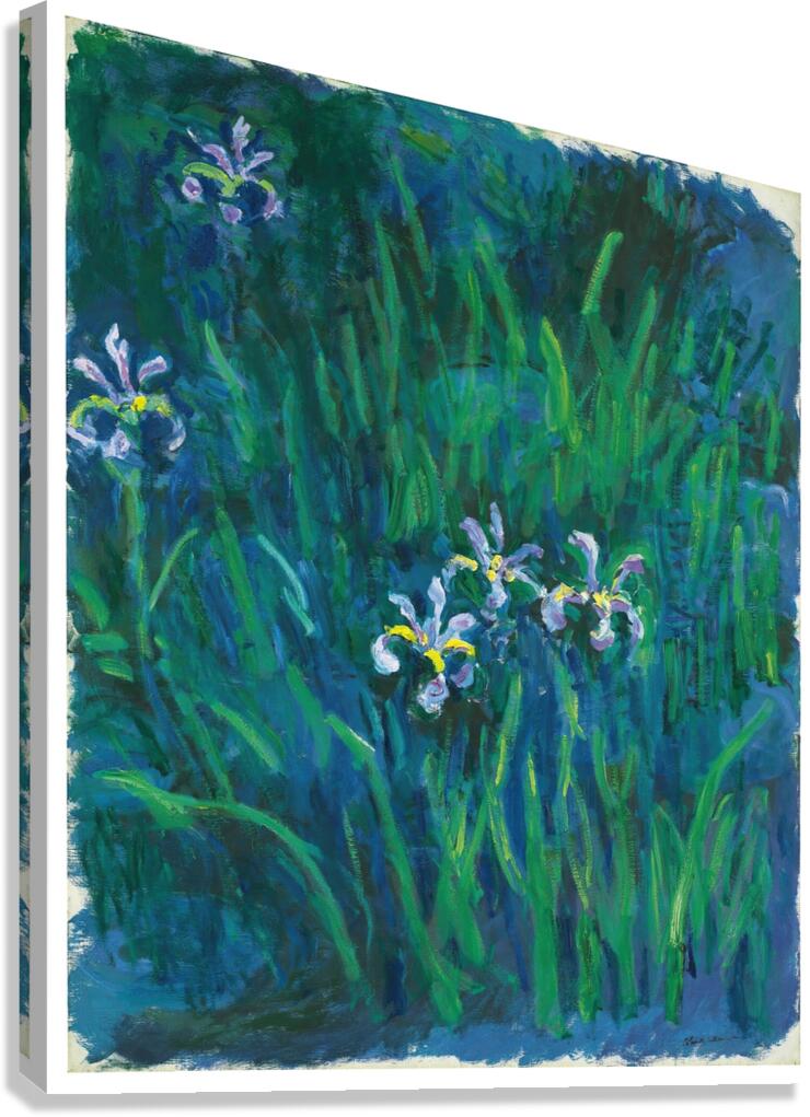 Iris by Claude Monet [1840–1926] Canvas Print
