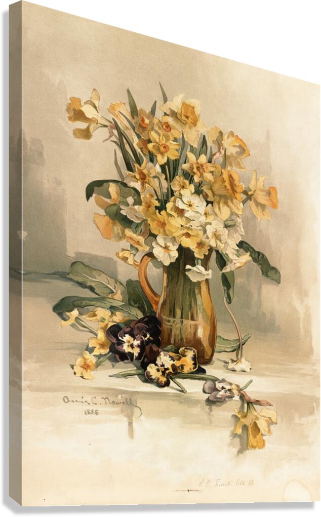 Jonquils [ca. 1861–1897] by Annie Nowell [1842–1935] Canvas Print