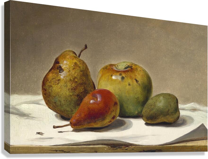 Three Pears and an Apple [1857] by David Johnson [1827–1908] Canvas Print