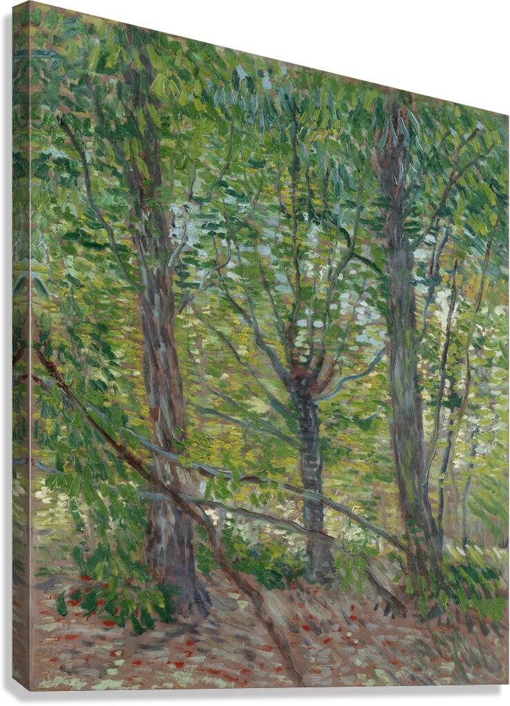 Trees by Vincent van Gogh [1853–1890] Canvas Print
