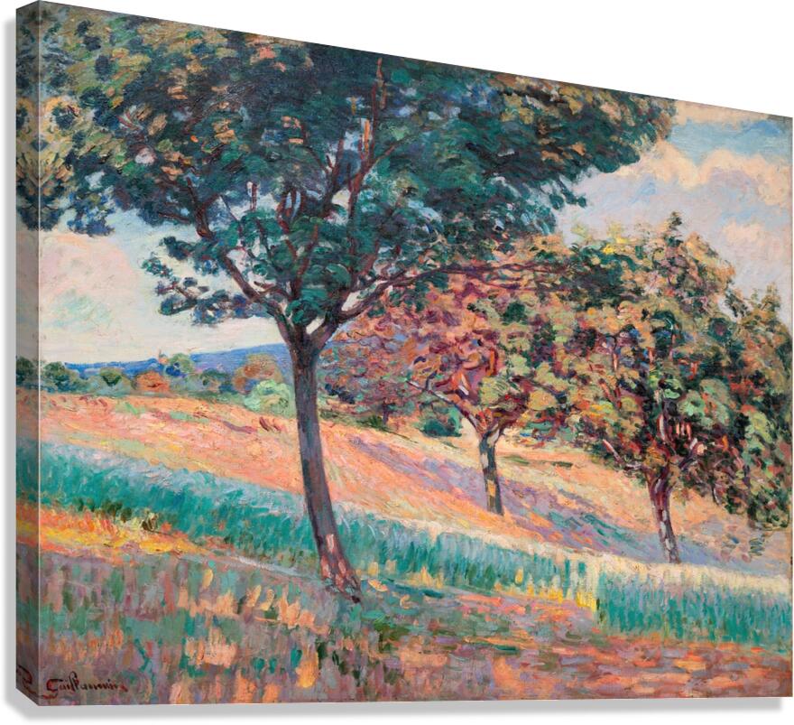Verger à la lisiere d’un bois à Saint–Cheron [1893] by Armand Guillaumin [1841–1927] Canvas Print