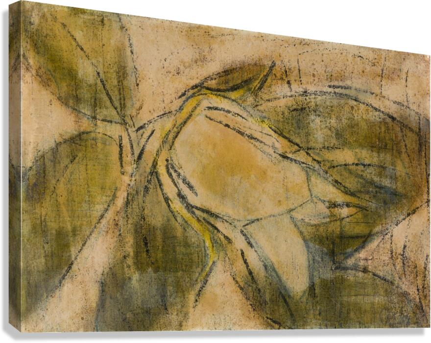 Magnolia Bud [1937] by Christian Rohlfs [1849–1938] Canvas Print