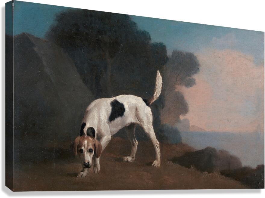 Foxhound on the Scent [ca. 1760] by George Stubbs [1724–1806] Canvas Print