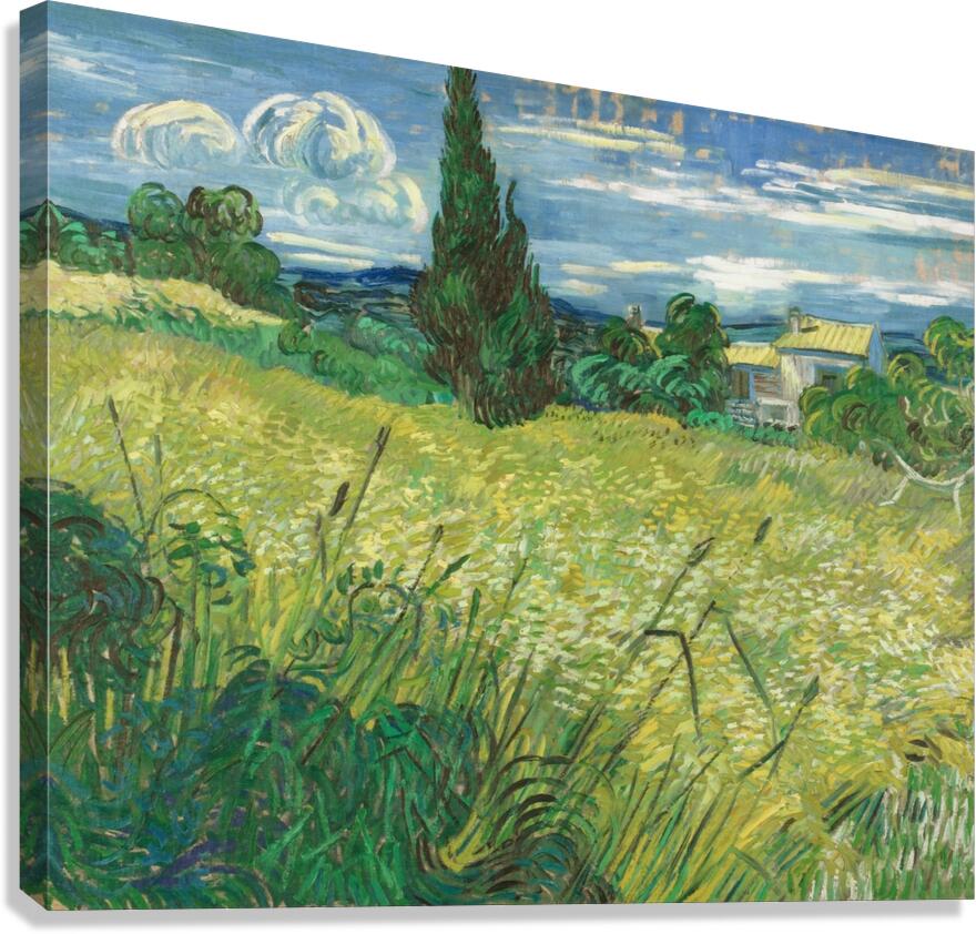 Green Field [1889] by Vincent van Gogh [1853–1890] Canvas Print