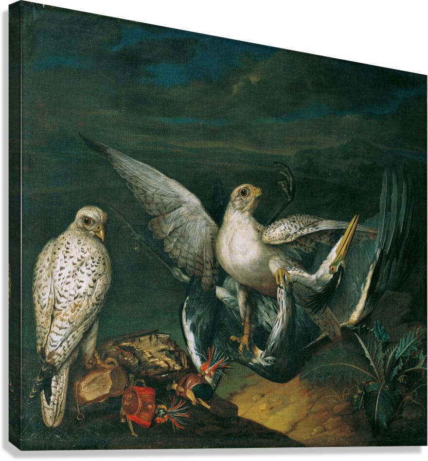Weiße Jagdfalken Mit Einem Fischreiher [1748] by Philipp Ferdinand de Hamilton [ca. 1664–1750] Canvas Print