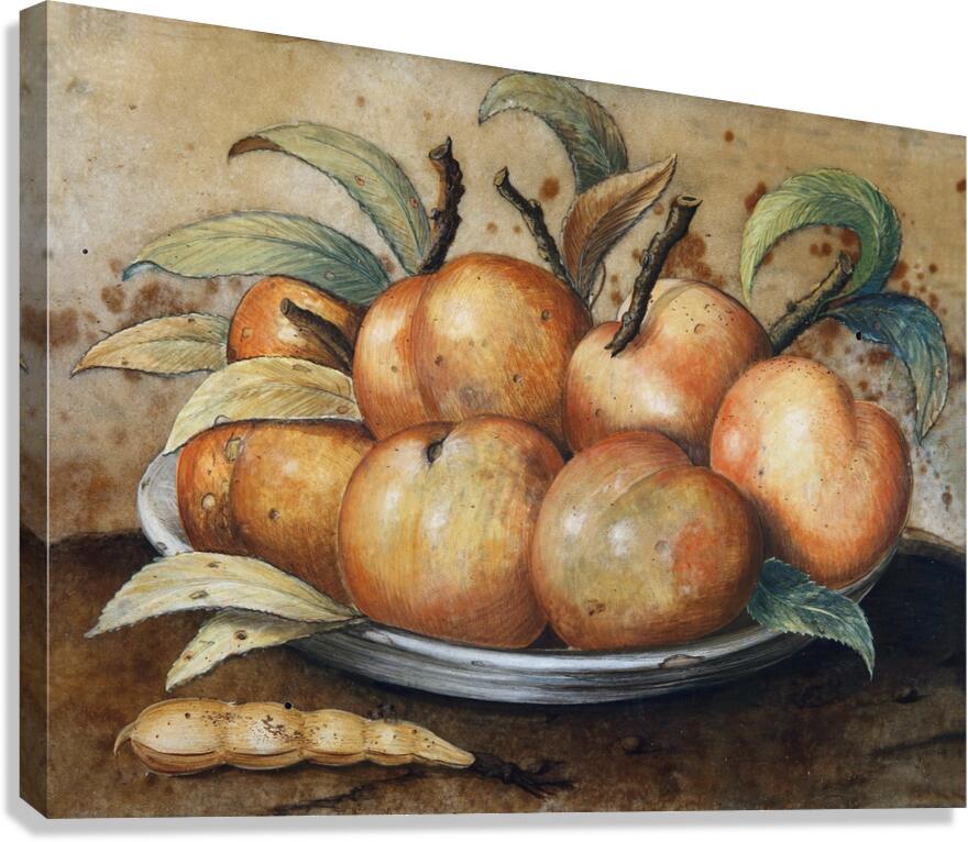 Stillleben Mit Pfirsischen Und Johannisbrot by Giovanna Garzoni [1600–1670] Canvas Print
