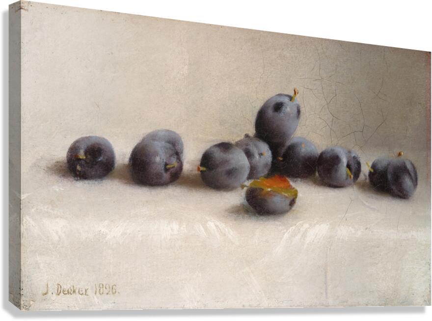 Twelve Plums [1896] by Joseph Decker [1853–1924] Canvas Print