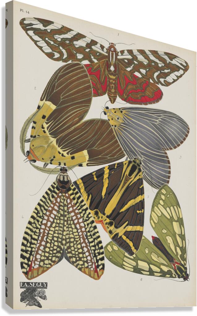 Papillons Pl.14 [1920] by Emile–Allain Séguy [1877–1951] Canvas Print