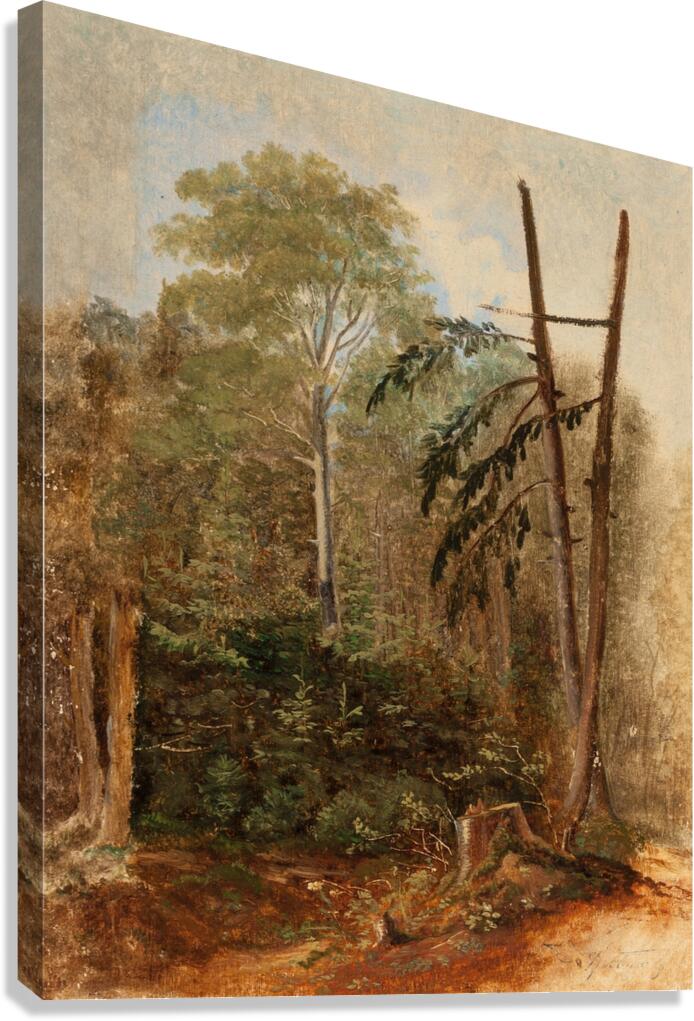 Study of a Woodland Landscape by Carl Spitzweg [1808–1880] Canvas Print