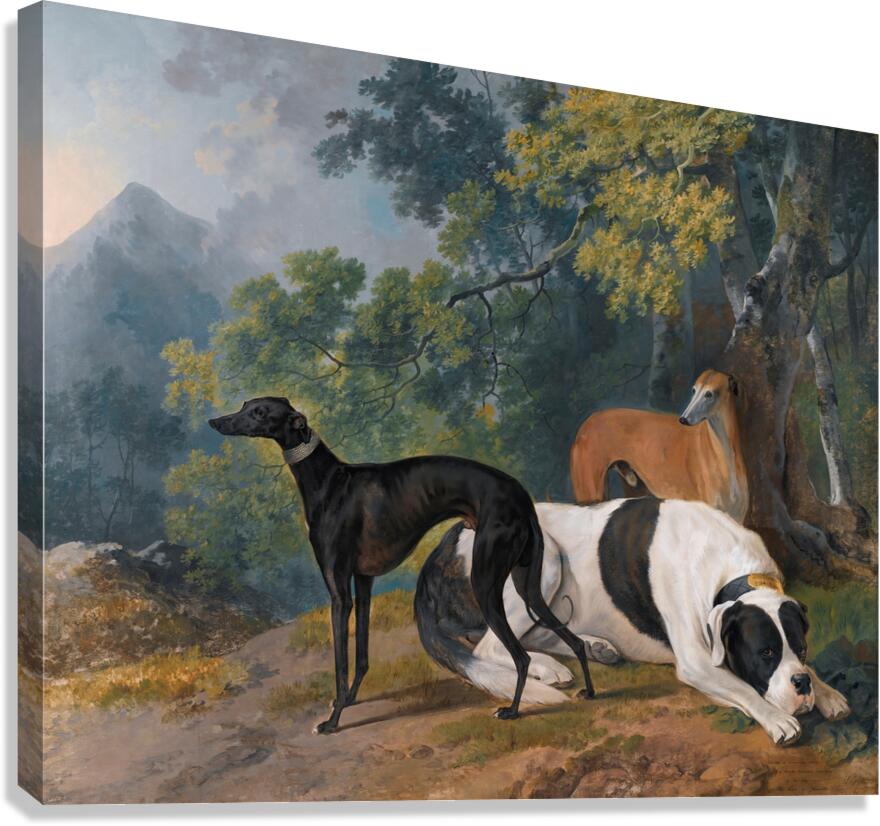 Two Greyhounds And A Mastif Belonging To The Duke Of Hamilton [1780] by Sawrey Gilpin [1733–1807] Canvas Print