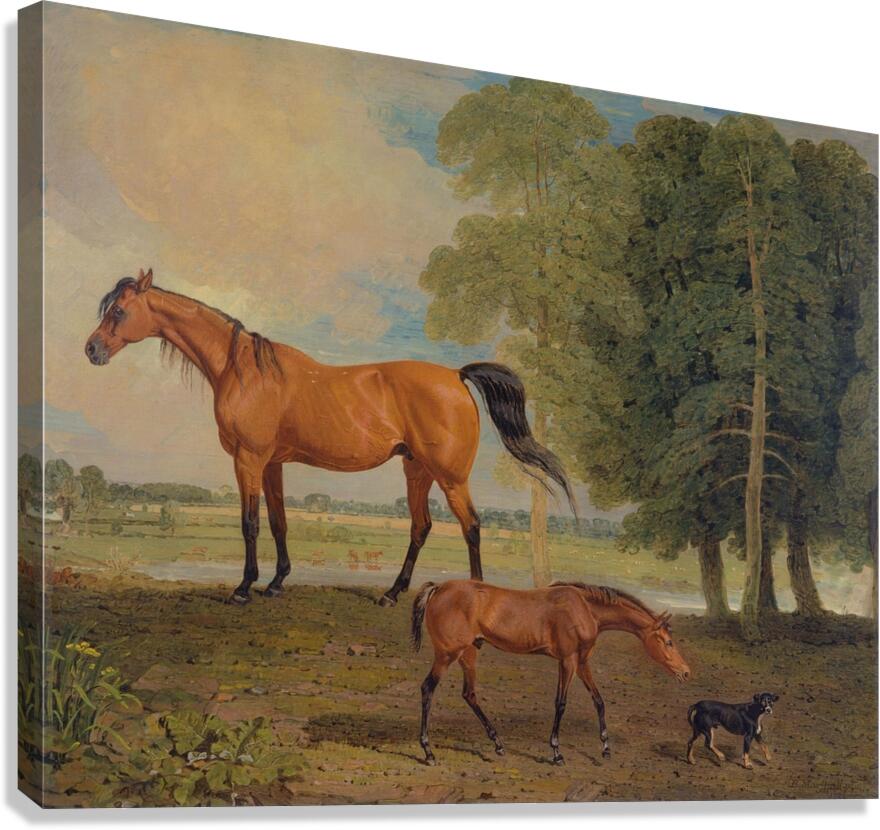 Broodmare With Foal. And A Terrier [1822] by Benjamin Marshall [1768–1835] Canvas Print
