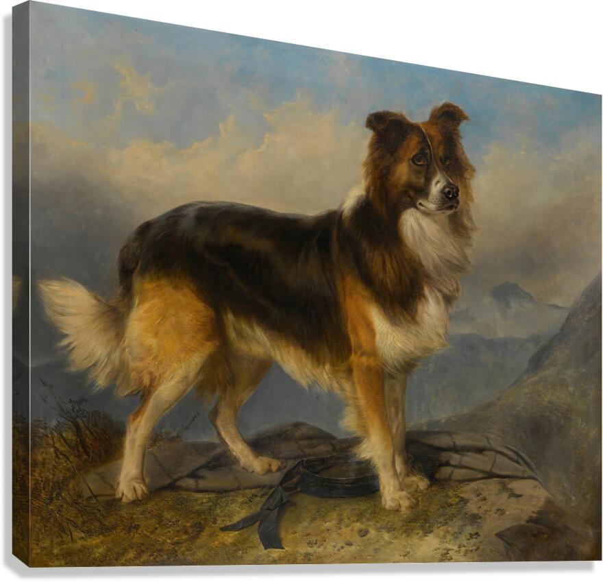 Sammie [1877] by Richard Ansdell [1815–1885] Canvas Print