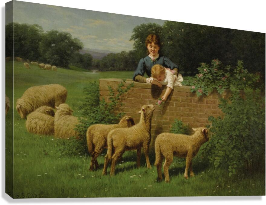 Child Feeding the Sheep by Samuel S. Carr [1837–1908] Canvas Print